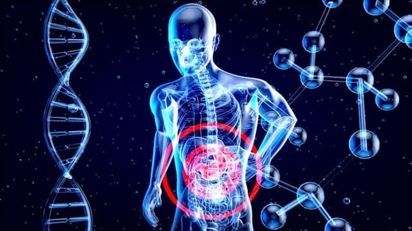 Can the Regular Consumption of Probiotic-Rich Foods Alleviate Symptoms of IBS?